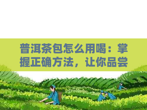 普洱茶包怎么用喝：掌握正确方法，让你品尝到普洱茶的醇厚与香气。