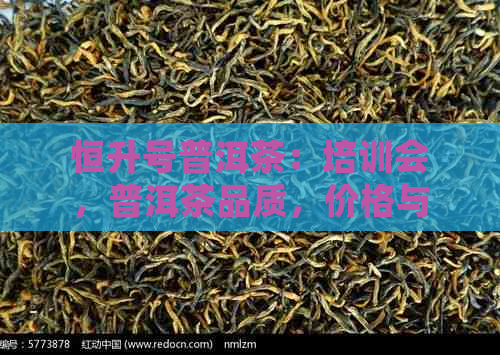 恒升号普洱茶：培训会，普洱茶品质，价格与口碑解析