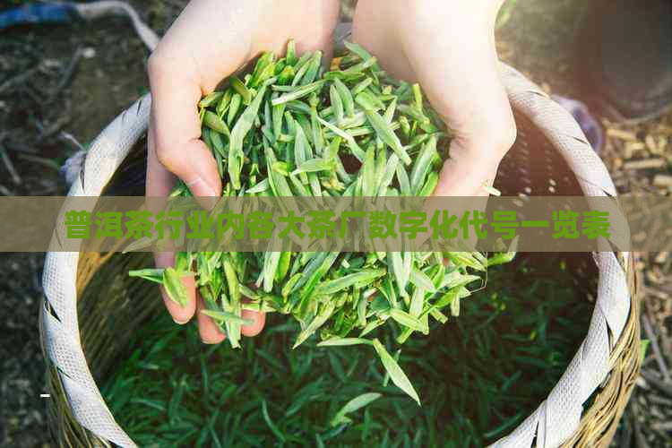 普洱茶行业内各大茶厂数字化代号一览表