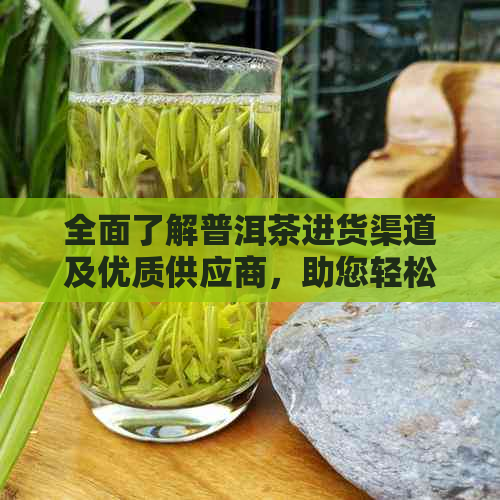 全面了解普洱茶进货渠道及优质供应商，助您轻松选购正品普洱茶