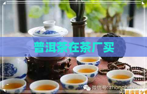 普洱茶在茶厂买