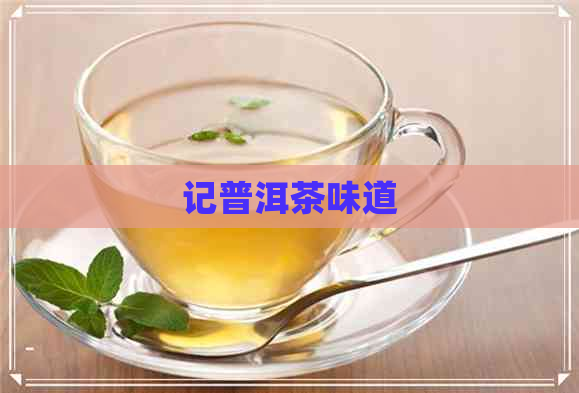 记普洱茶味道