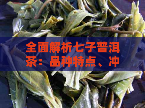 全面解析七子普洱茶：品种特点、冲泡方法、品鉴技巧等，解答您的所有疑问