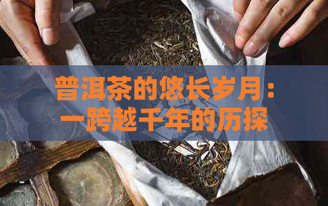 普洱茶的悠长岁月：一跨越千年的历探索