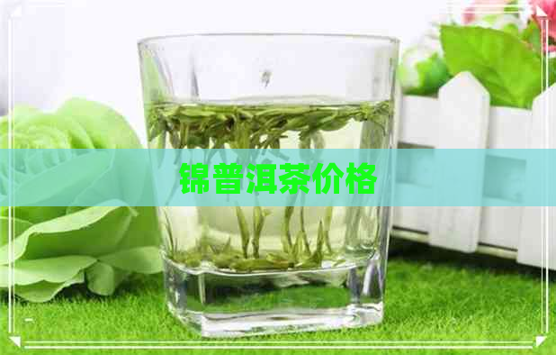 锦普洱茶价格