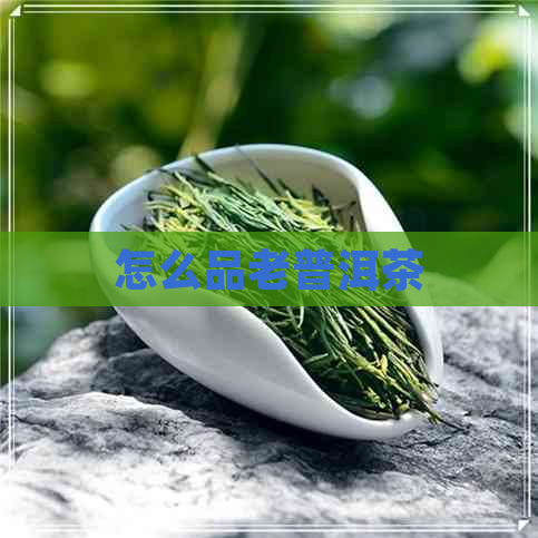 怎么品老普洱茶