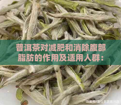 普洱茶对减肥和消除腹部脂肪的作用及适用人群：详细解析与注意事项