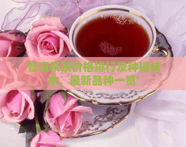 '普洱茶茶价格排行及种植技术，最新品种一览'