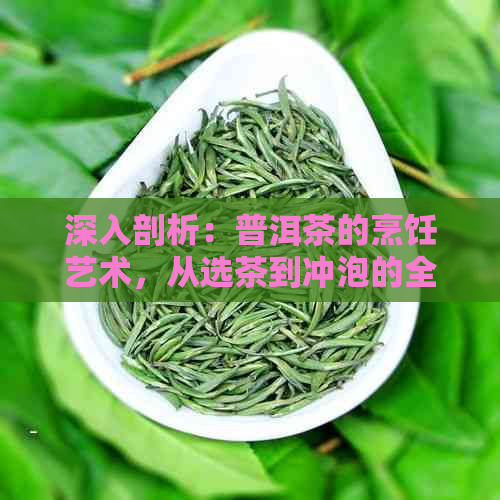 深入剖析：普洱茶的烹饪艺术，从选茶到冲泡的全方位指南