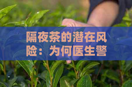 隔夜茶的潜在风险：为何医生警告我们要注意喝了它的影响