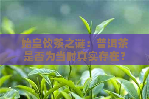 始皇饮茶之谜：普洱茶是否为当时真实存在？探讨历文献与考古证据。