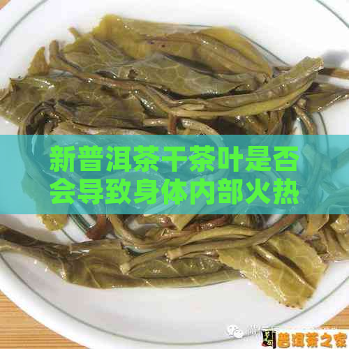 新普洱茶干茶叶是否会导致身体内部火热？探究其与燥热体质的关系