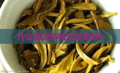 什么普洱茶祛湿效果好？