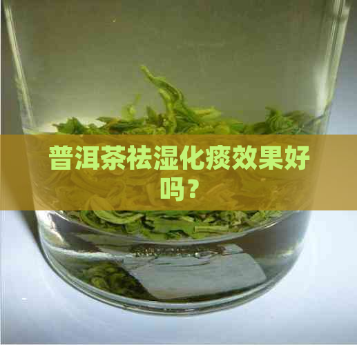 普洱茶祛湿化痰效果好吗？