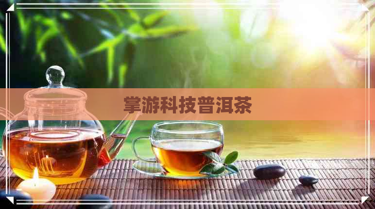 掌游科技普洱茶