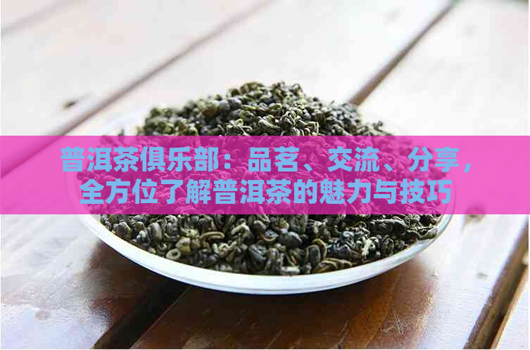 普洱茶俱乐部：品茗、交流、分享，全方位了解普洱茶的魅力与技巧