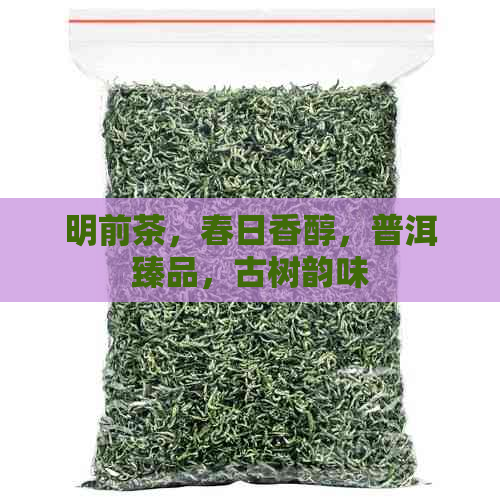 明前茶，春日香醇，普洱臻品，古树韵味