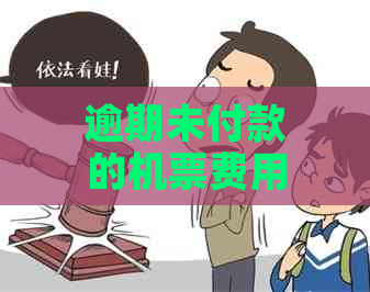 逾期未付款的机票费用及其后果：了解坐飞机所需的更低支付金额及相关限制