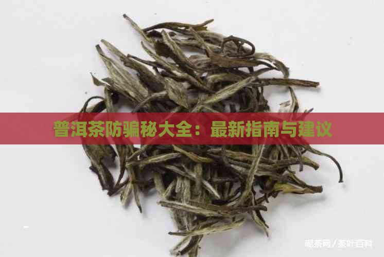 普洱茶防骗秘大全：最新指南与建议