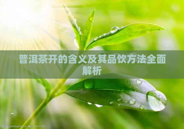 普洱茶开的含义及其品饮方法全面解析