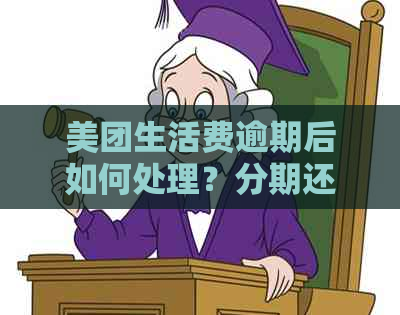 美团生活费逾期后如何处理？分期还款取消时间与主要还款方式解析