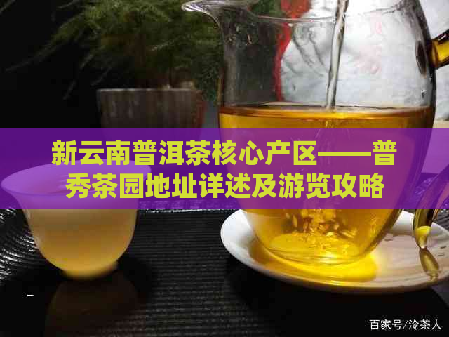 新云南普洱茶核心产区——普秀茶园地址详述及游览攻略