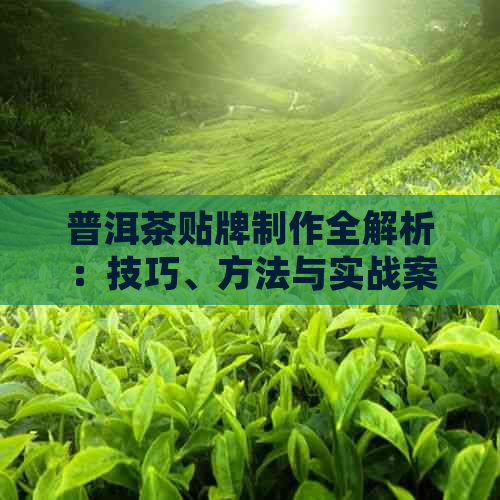 普洱茶贴牌制作全解析：技巧、方法与实战案例，助您轻松掌握塑造之道