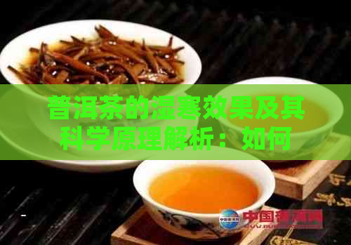 普洱茶的湿寒效果及其科学原理解析：如何选择与饮用以达到效果？