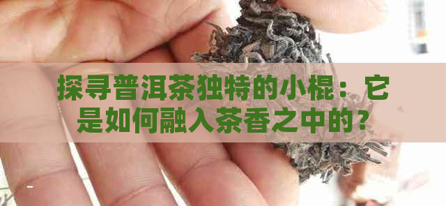 探寻普洱茶独特的小棍：它是如何融入茶香之中的？