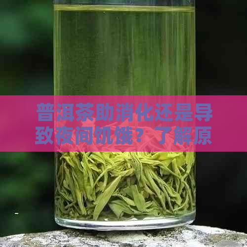 普洱茶助消化还是导致夜间饥饿？了解原因及正确饮用方法