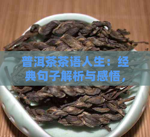 普洱茶茶语人生：经典句子解析与感悟，让你更好地理解和品味茶文化