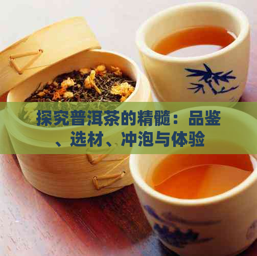 探究普洱茶的精髓：品鉴、选材、冲泡与体验