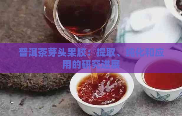 普洱茶芽头果胶：提取、纯化和应用的研究进展