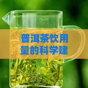 普洱茶饮用量的科学建议：多少克茶叶适合每天饮用？