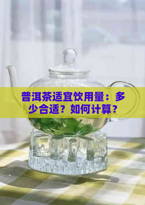 普洱茶适宜饮用量：多少合适？如何计算？