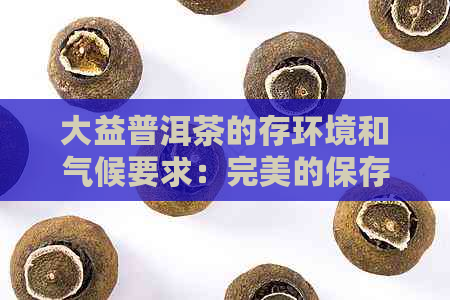 大益普洱茶的存环境和气候要求：完美的保存环境与适宜的天气