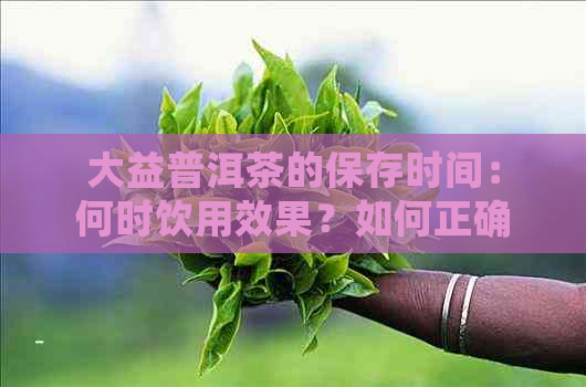 大益普洱茶的保存时间：何时饮用效果？如何正确存以长保质期？