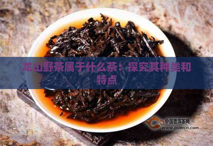 龙山野茶属于什么茶：探究其种类和特点