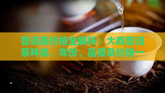 普洱茶价格全解析：大商普洱茶种类、年份、品质及价格一览无余