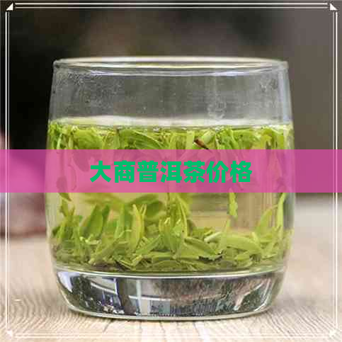 大商普洱茶价格