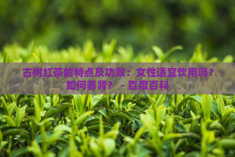 古树红茶的特点及功效：女性适宜饮用吗？如何养肾？ - 百度百科