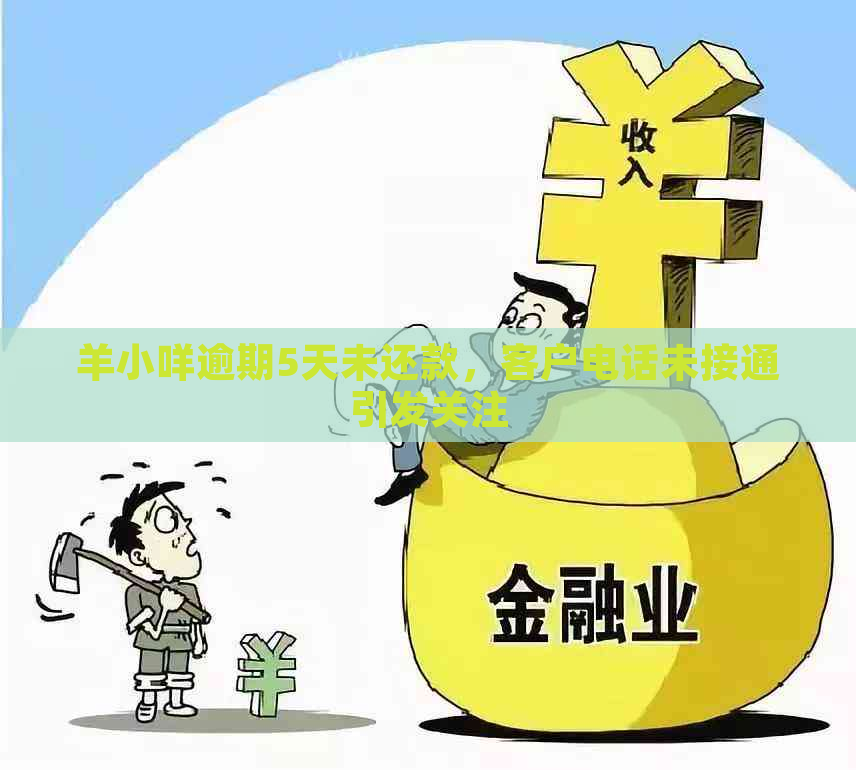 羊小咩逾期5天未还款，客户电话未接通引发关注