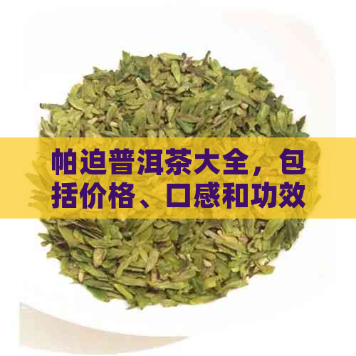 帕迫普洱茶大全，包括价格、口感和功效等详细信息。