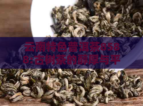 云南特色普洱茶8588:古树茶的醇厚与平之道