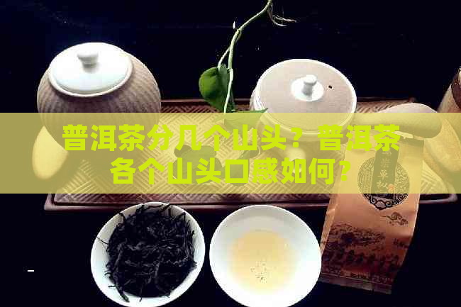 普洱茶分几个山头？普洱茶各个山头口感如何？