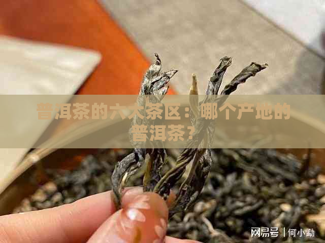 普洱茶的六大茶区：哪个产地的普洱茶？