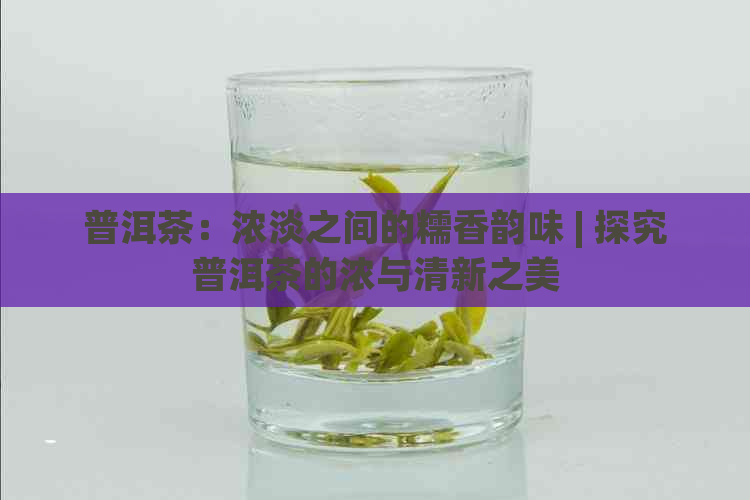 普洱茶：浓淡之间的糯香韵味 | 探究普洱茶的浓与清新之美