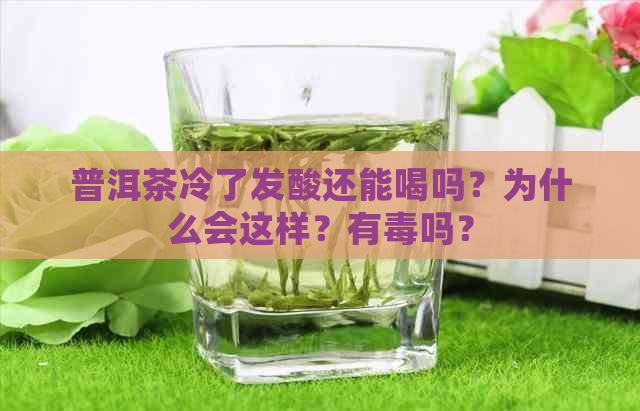 普洱茶冷了发酸还能喝吗？为什么会这样？有吗？