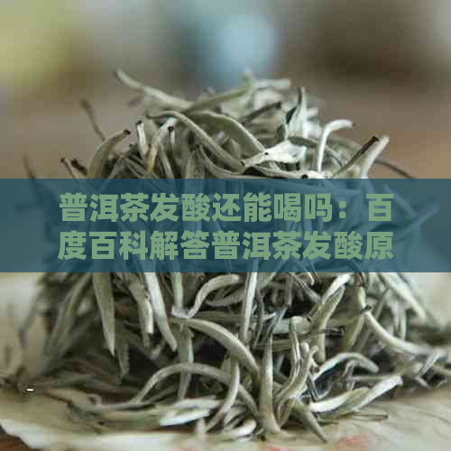 普洱茶发酸还能喝吗：百度百科解答普洱茶发酸原因及处理方法