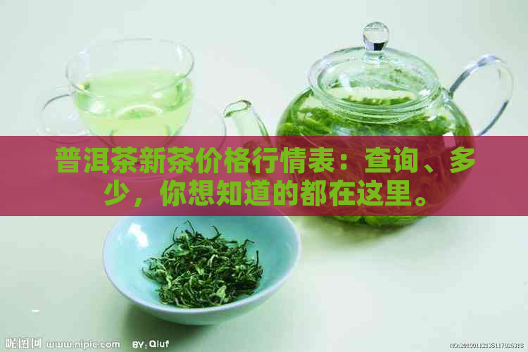 普洱茶新茶价格行情表：查询、多少，你想知道的都在这里。